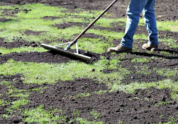 4 Benefits of Topdressing Your Lawn