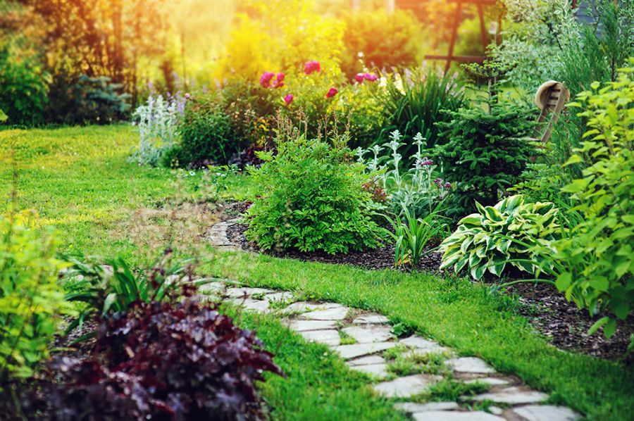 The Pros and Cons of Using Limestone in Your Landscape Design
